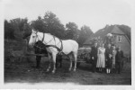 Erntefest Steinbeck (Luhe) - Umzug 1953