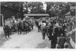 Erntefest Steinbeck (Luhe) - Umzug 1954