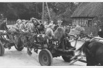 Erntefest Steinbeck (Luhe) - Umzug 1954