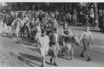 Erntefest Steinbeck (Luhe) - Umzug 1955