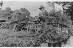 Erntefest Steinbeck (Luhe) - Umzug 1955