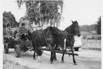 Erntefest Steinbeck (Luhe) - Umzug 1956