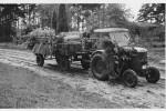 Erntefest Steinbeck (Luhe) - Umzug 1957