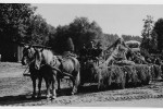 Erntefest Steinbeck (Luhe) - Umzug 1958