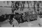 Erntefest Steinbeck (Luhe) - Umzug 1958