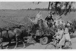 Erntefest Steinbeck (Luhe) - Umzug 1959