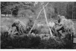 Erntefest Steinbeck (Luhe) - Umzug 1959