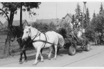 Erntefest Steinbeck (Luhe) - Umzug 1960