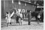 Erntefest Steinbeck (Luhe) - Umzug 1961