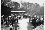 Erntefest Steinbeck (Luhe) - Umzug 1961