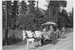 Erntefest Steinbeck (Luhe) - Umzug 1961