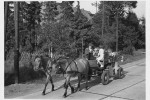 Erntefest Steinbeck (Luhe) - Umzug 1961