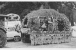 Erntefest Steinbeck (Luhe) - Umzug 1962