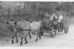 Erntefest Steinbeck (Luhe) - Umzug 1962