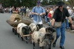 Erntefest Steinbeck (Luhe) - Umzüge 1950 bis 2000